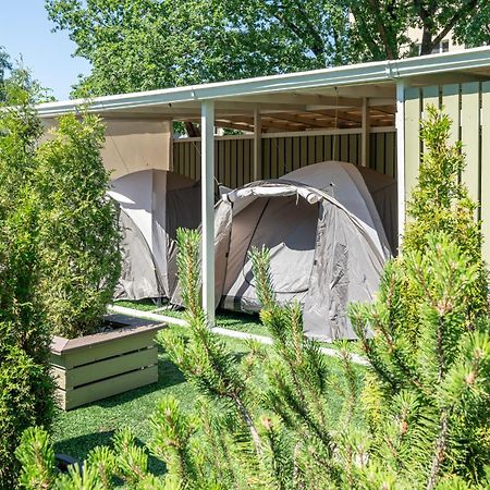 Garden Camping Tallinn Kültér fotó