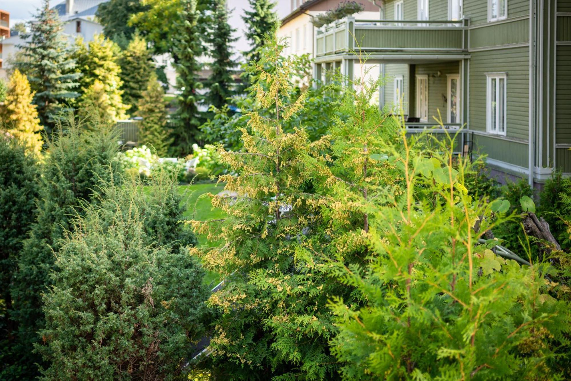 Garden Camping Tallinn Kültér fotó