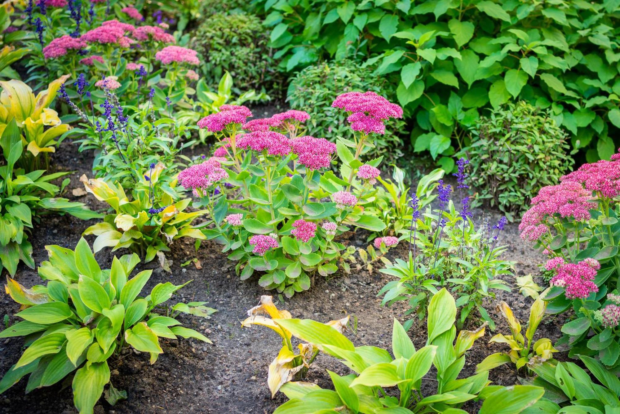 Garden Camping Tallinn Kültér fotó
