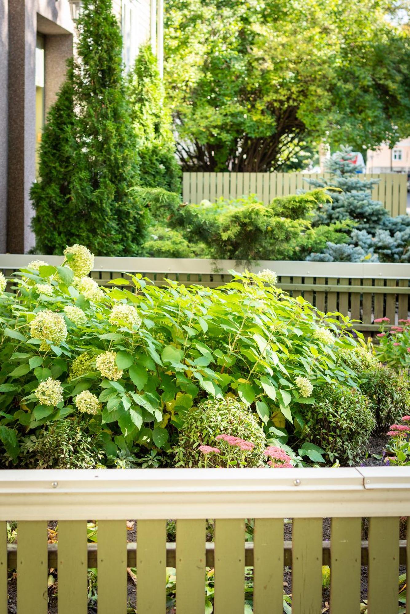 Garden Camping Tallinn Kültér fotó