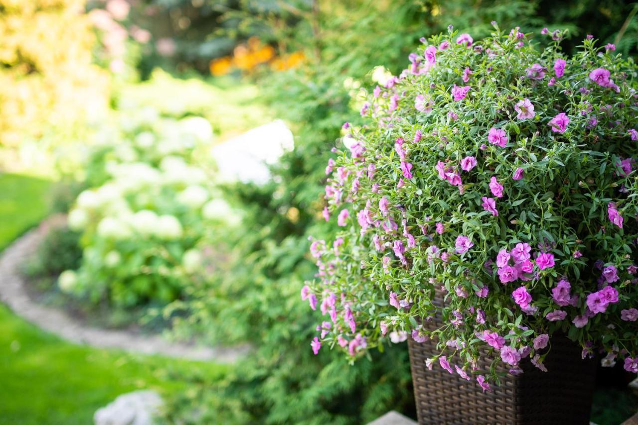 Garden Camping Tallinn Kültér fotó